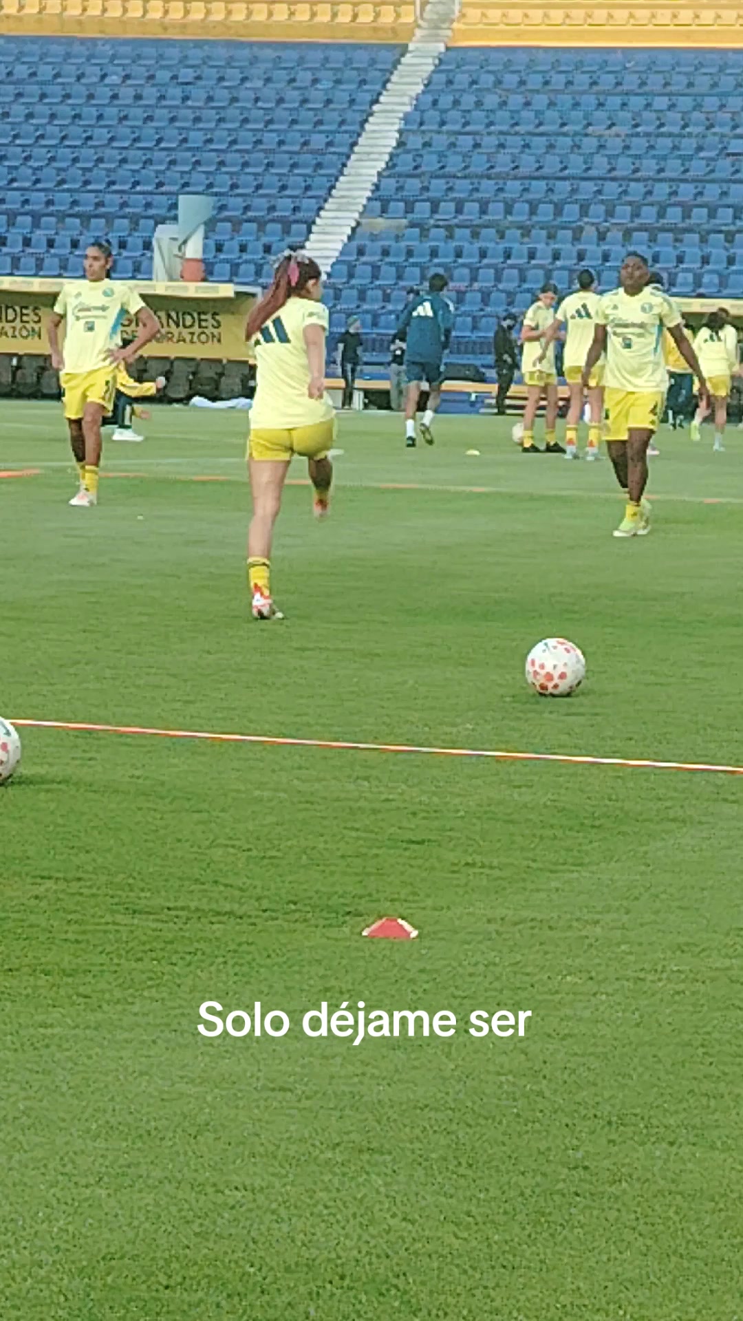 @Roberto Hern&aacute;ndez⚽2533