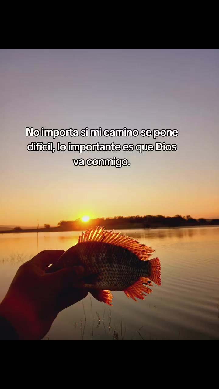 @@valdejuarez