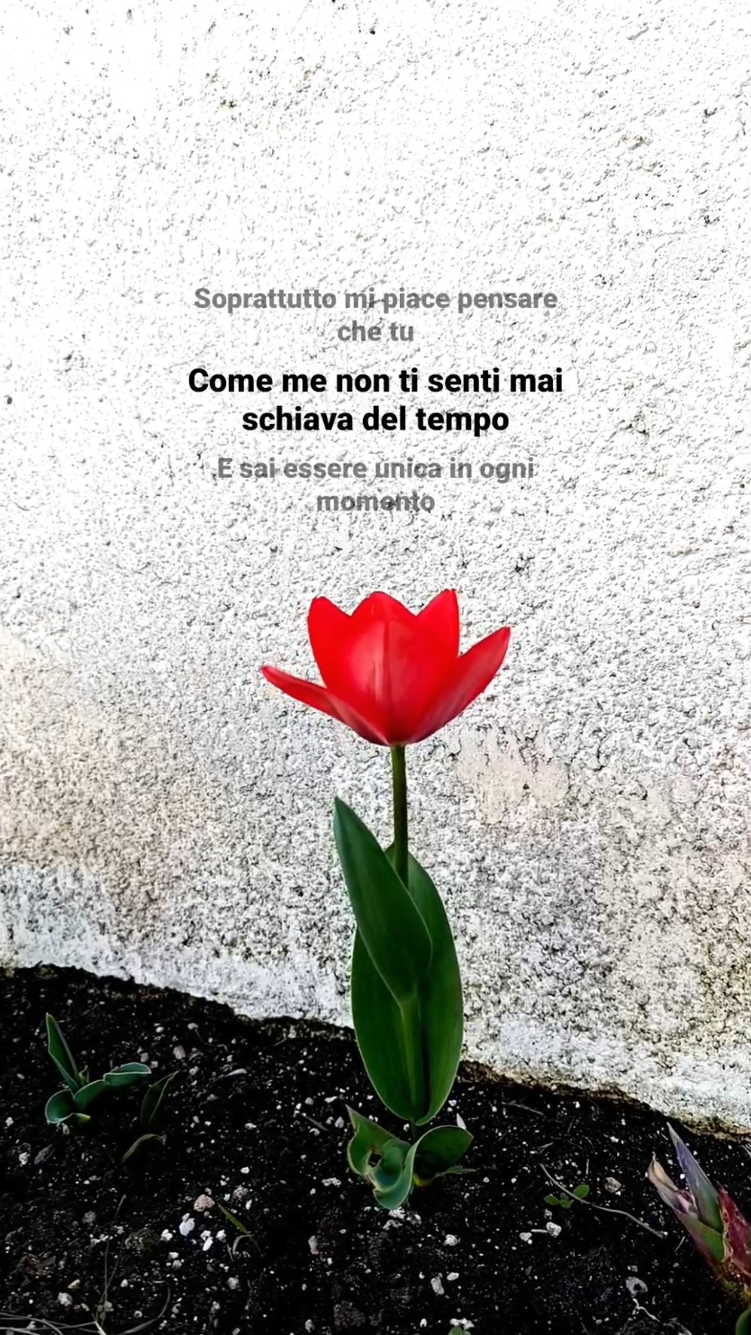 @Salvatore Di Mauro