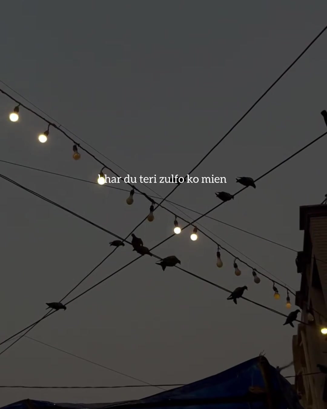 @احمد ؟