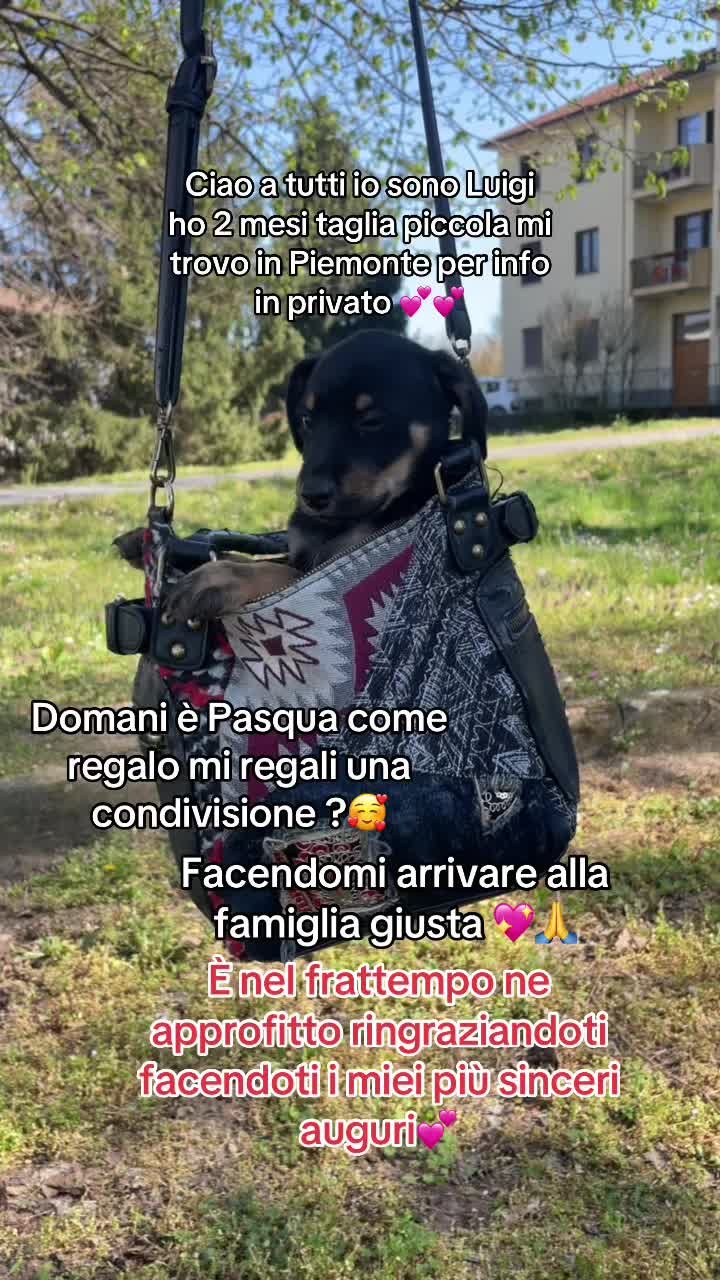 @KIRA❤️LEYLA💙
