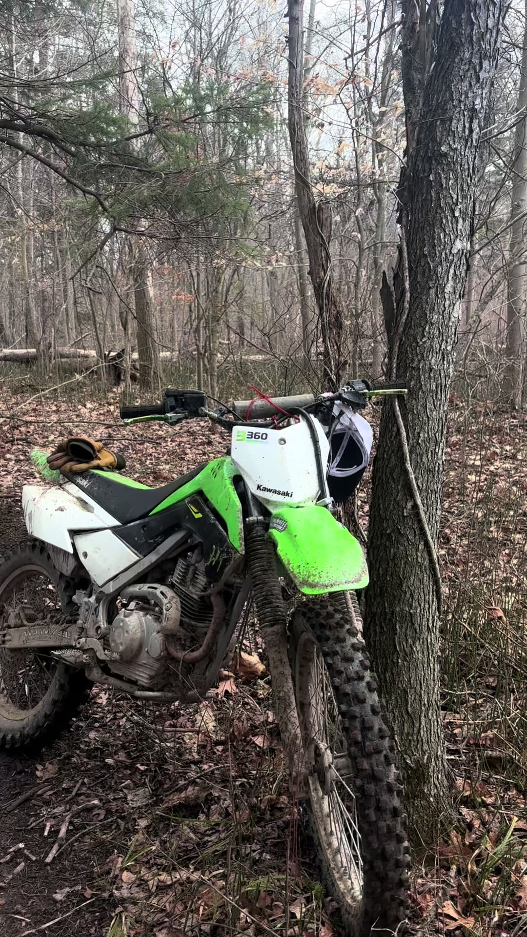 @Klx_logan