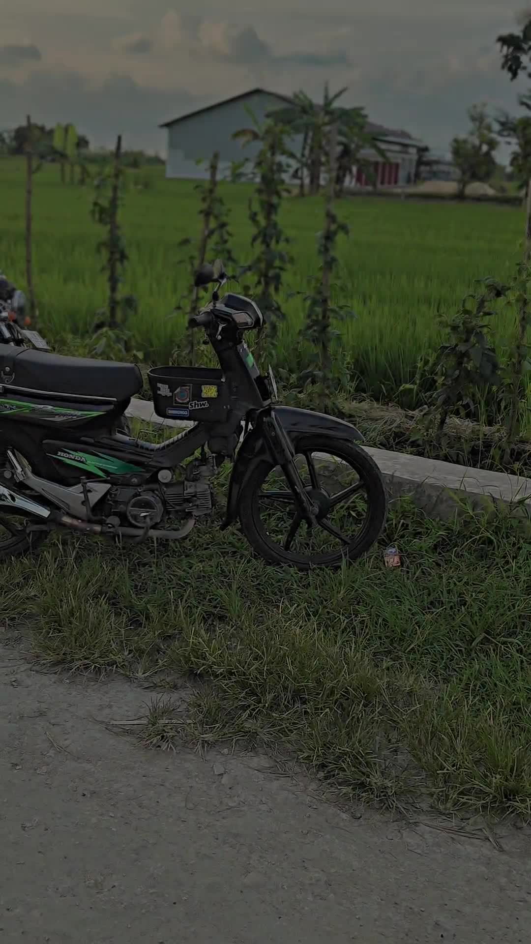 @DenyArdiansyah03