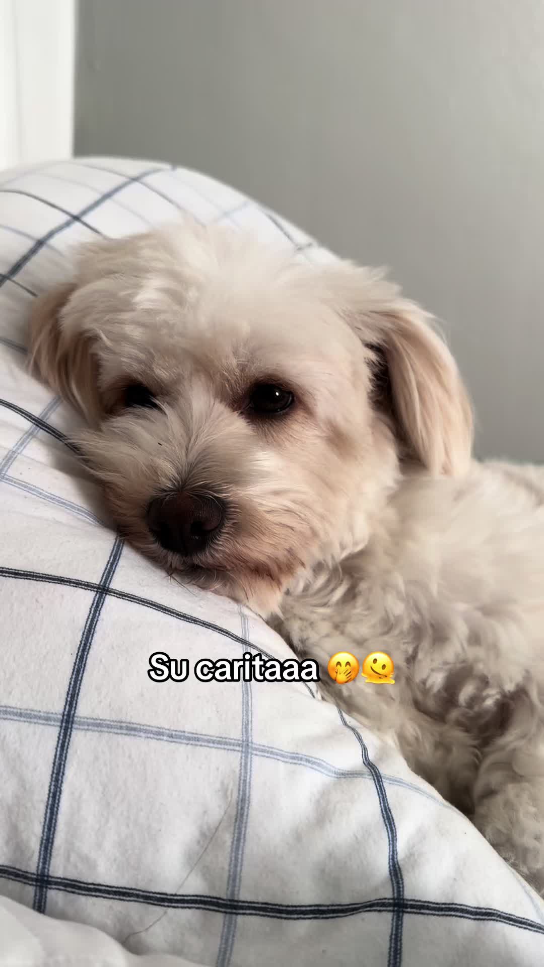 @Tita 🦋