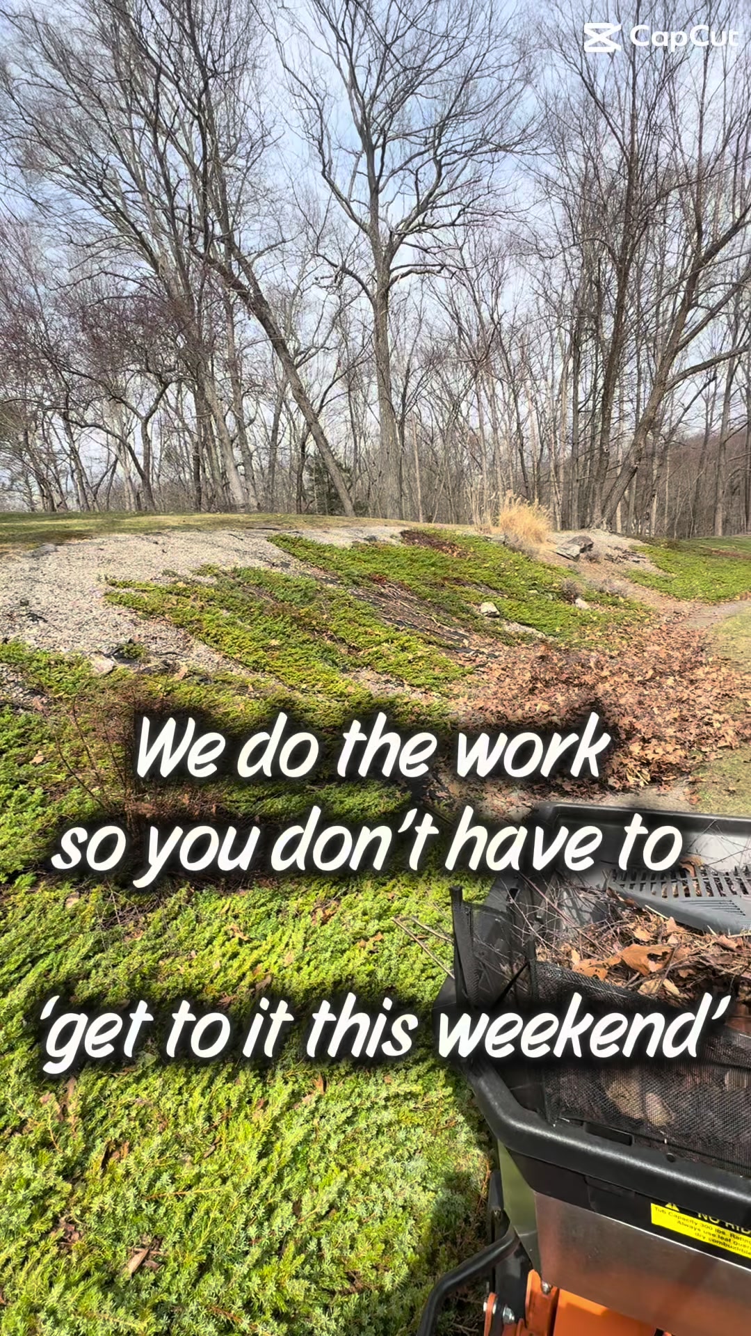 @Baileyboyslawn