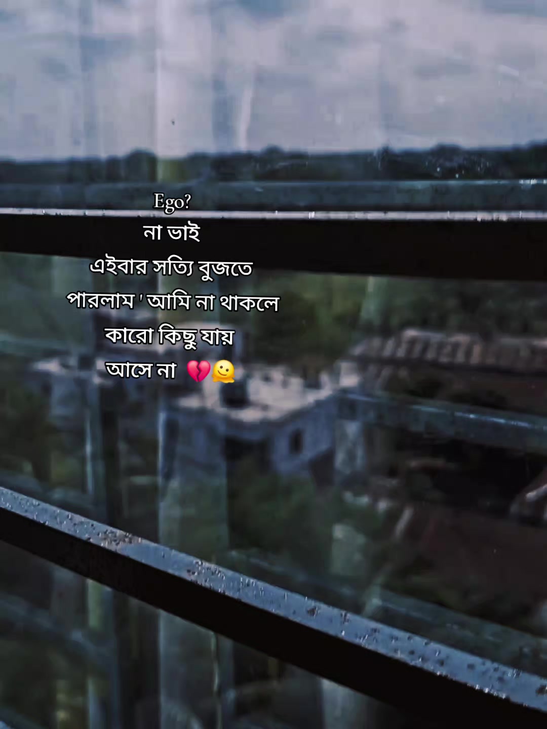 @🤲😺ঈমানদার বিলাই 😺🤲