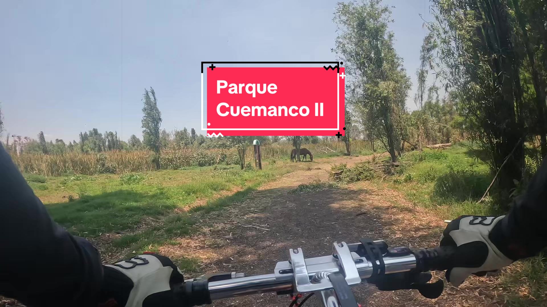 @GuillermoLoraSantos