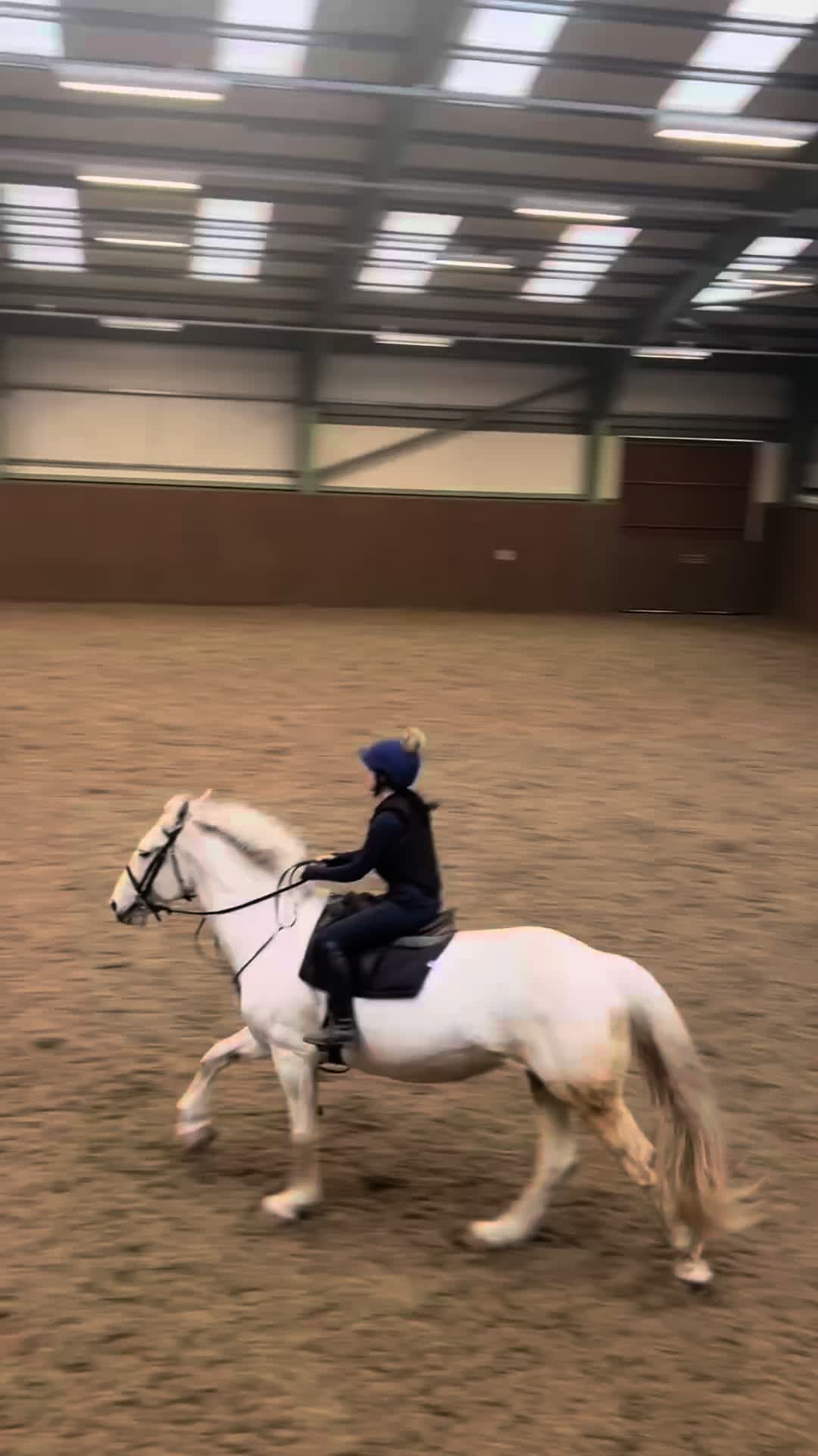 @Amelia ✝️🐴