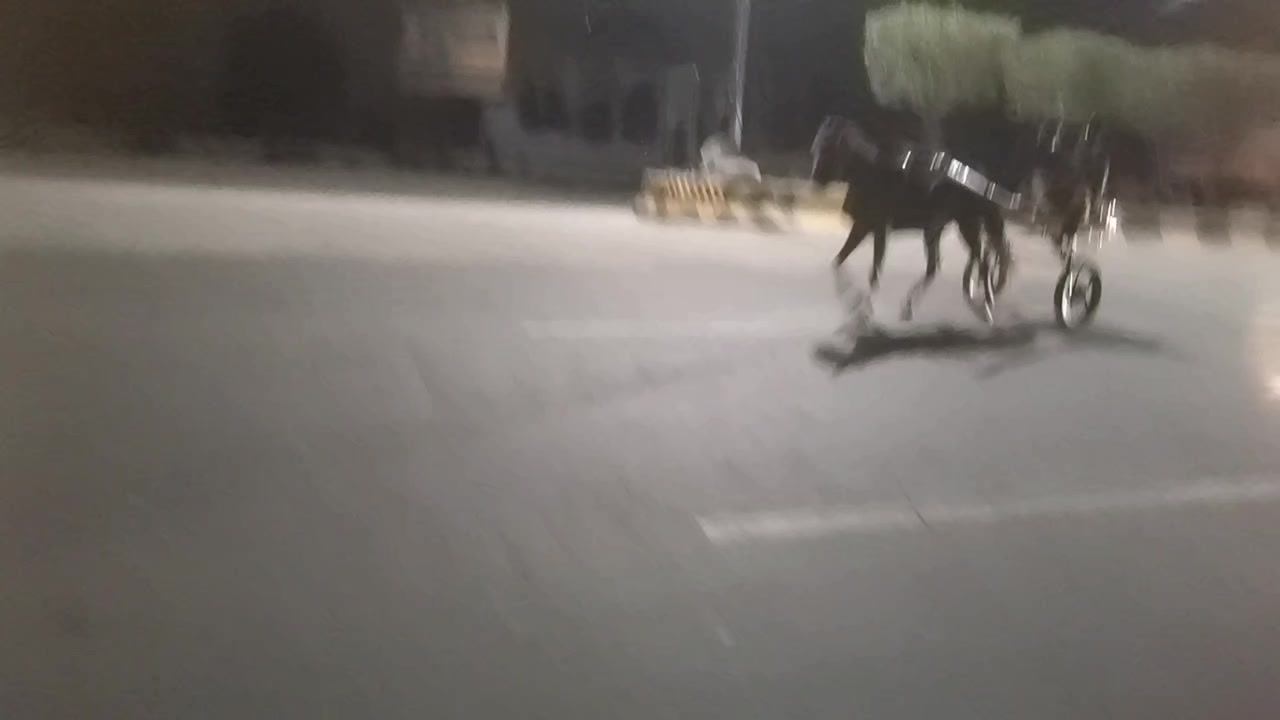@Badshah-Gujjar