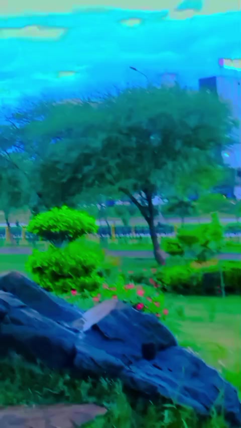 @Gul Sayad Bacha