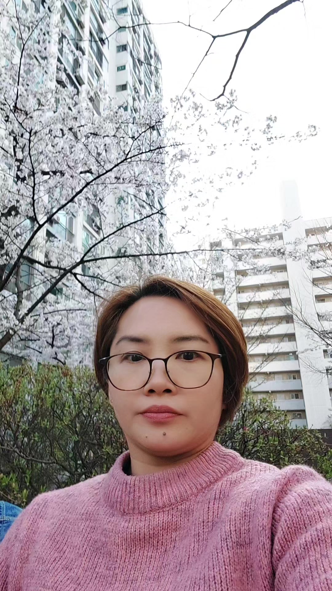 @란