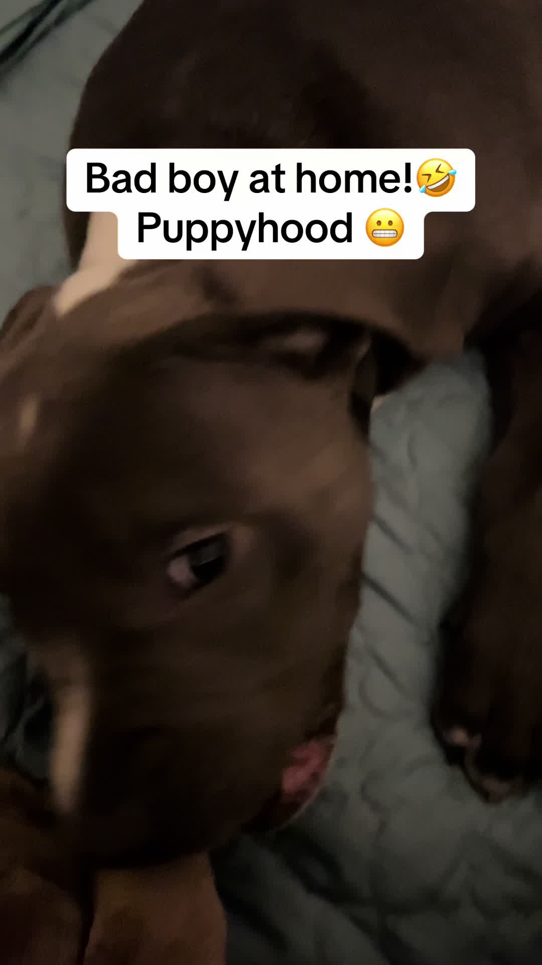 @Pibblingaround
