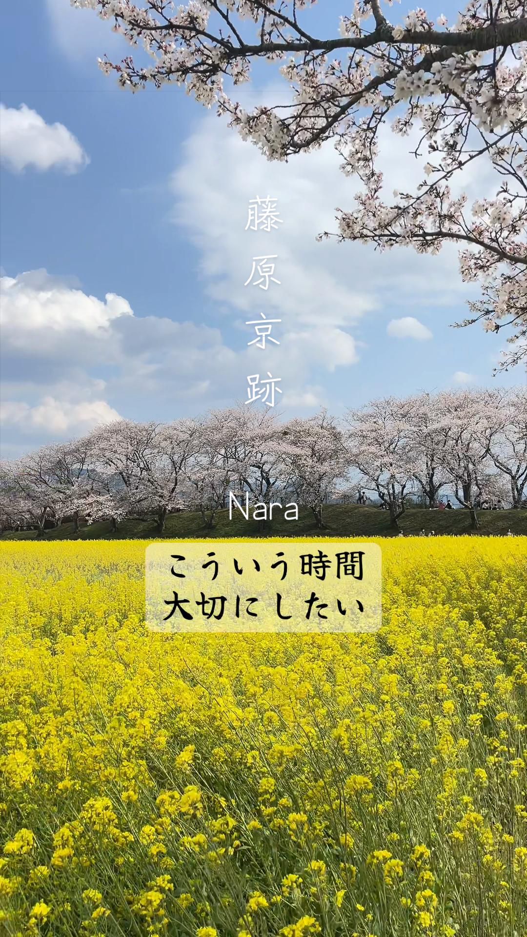 @星来⭐️セイ