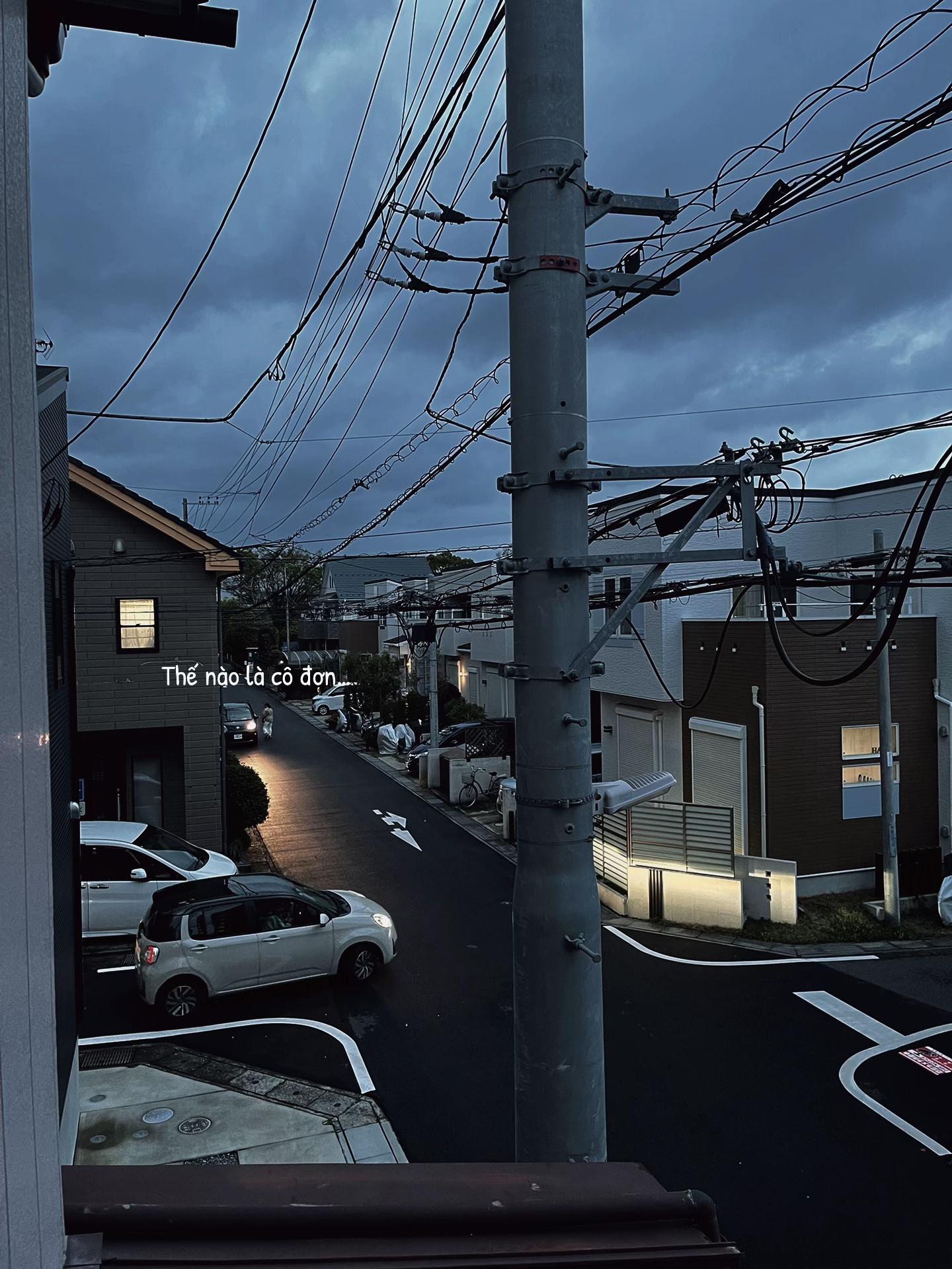 @ℋ𝒶̉𝒾 𝒴ℯ̂́𝓃🦥