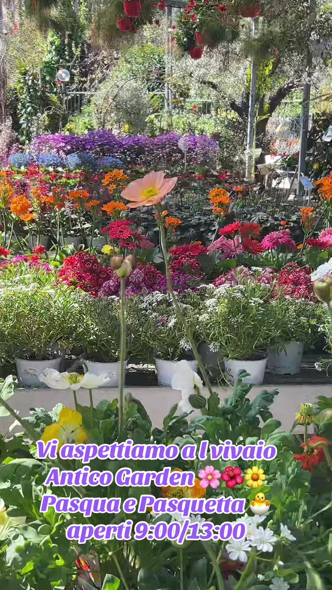 @vivaioanticogarden