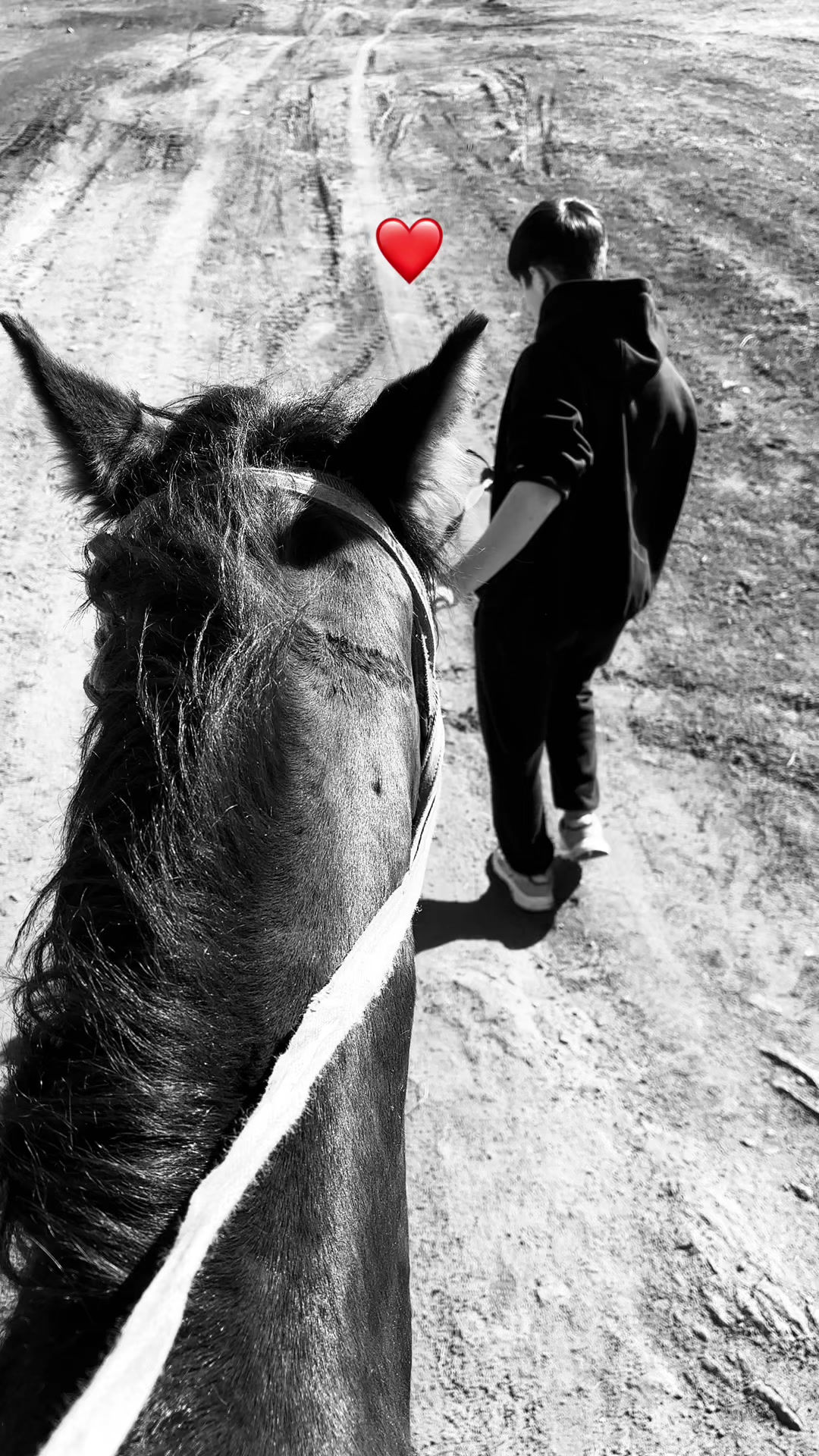 @aseka016_