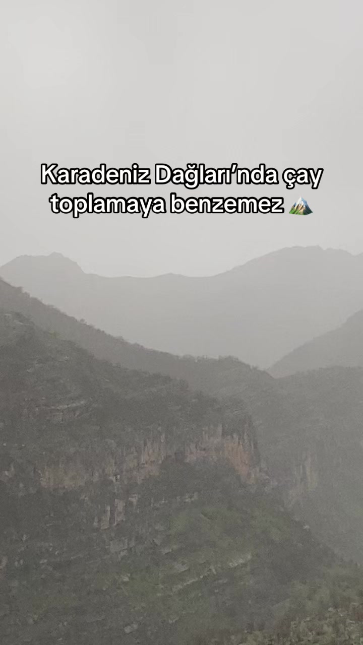 @Behcet Kaplan✪