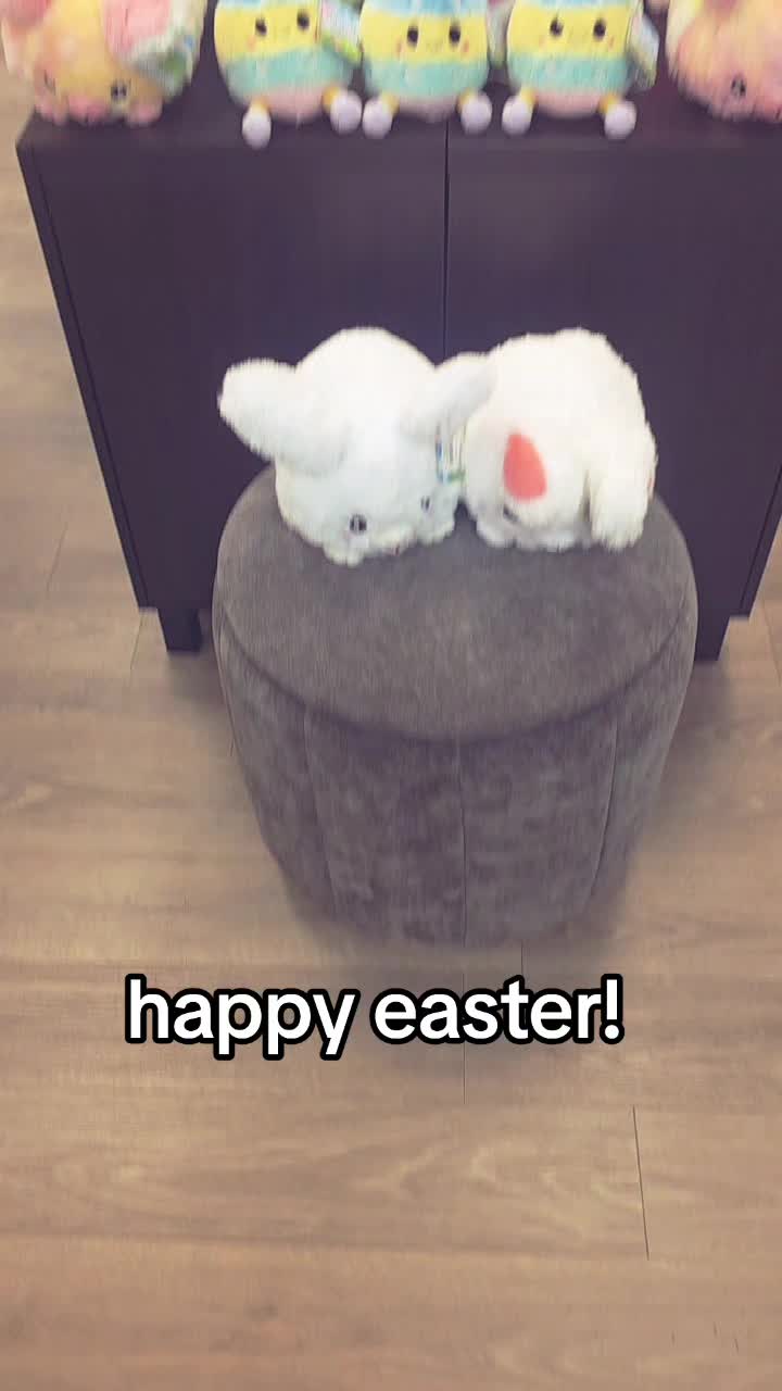 @Squishables_boisetowne&sup2;