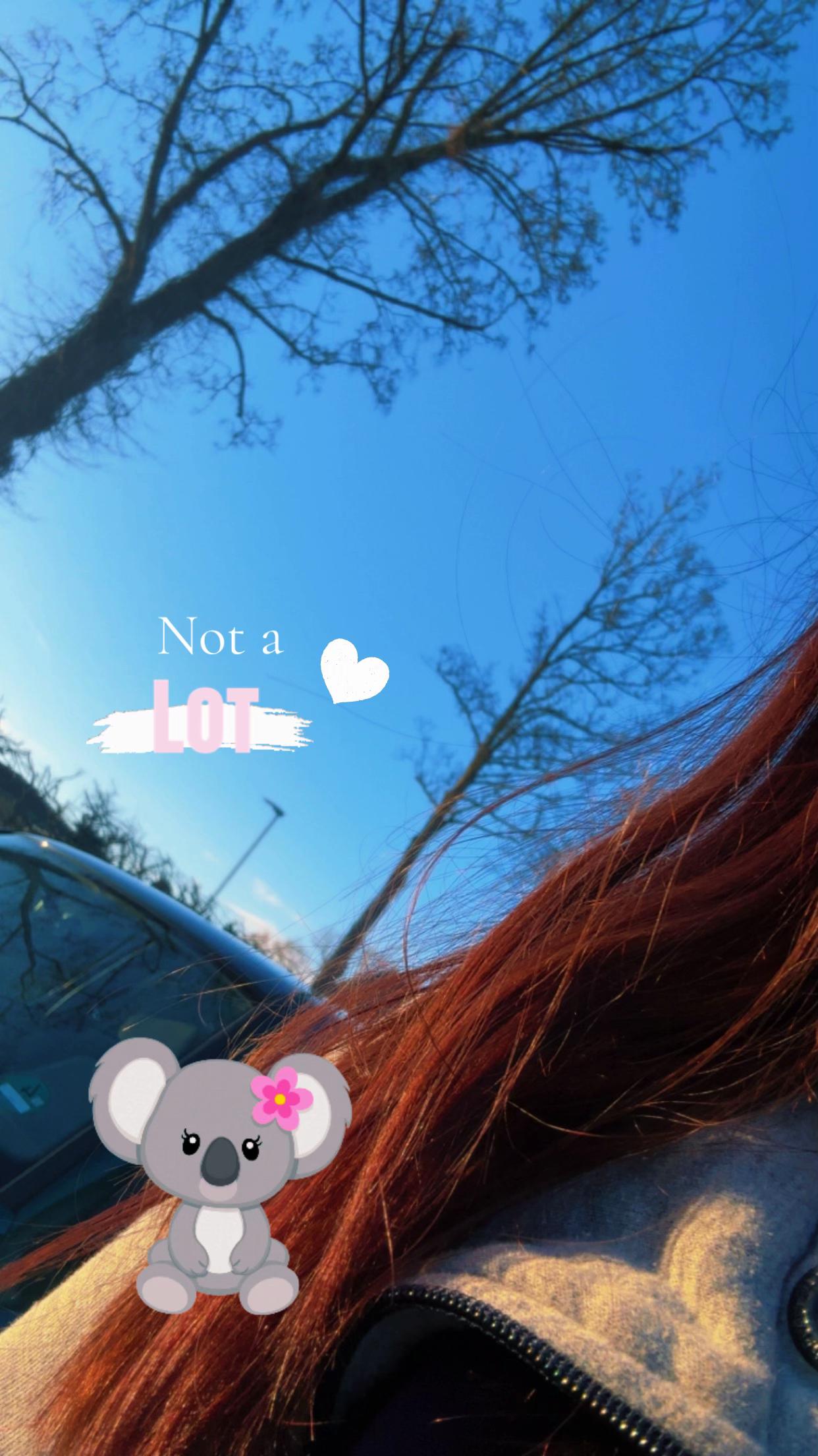 @𝐌&rsquo;ꨄ