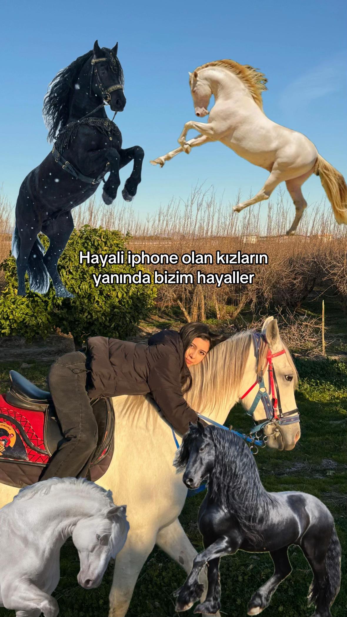 @Niss