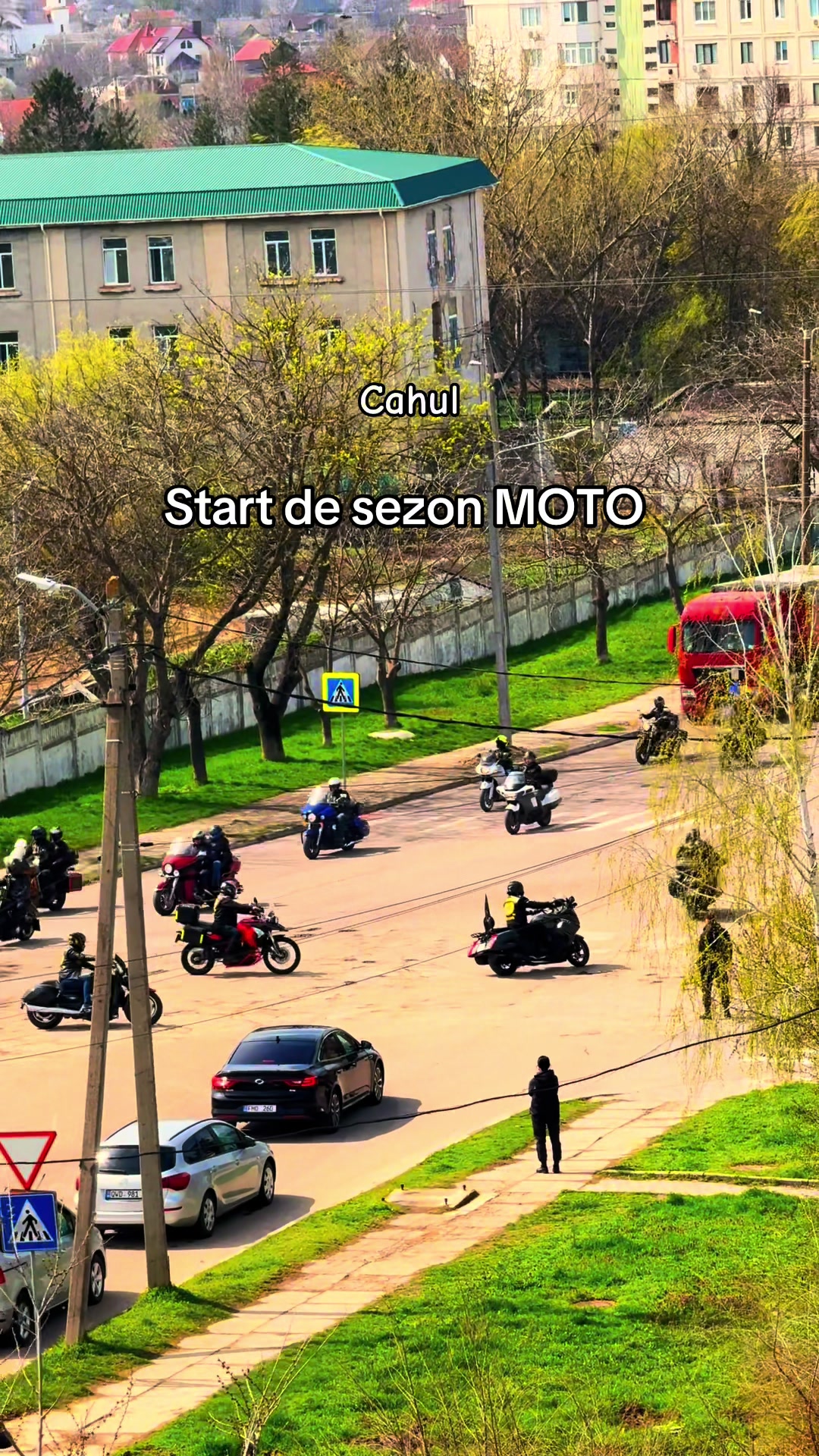 @Anișoara 