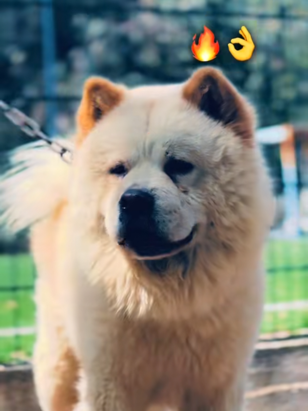 @ℒℴ𝓊𝒶𝒜𝓎 𝒵ℯ𝓇 🐺