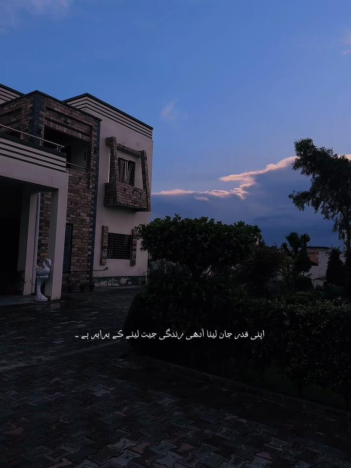 @ZH🎀🖇️