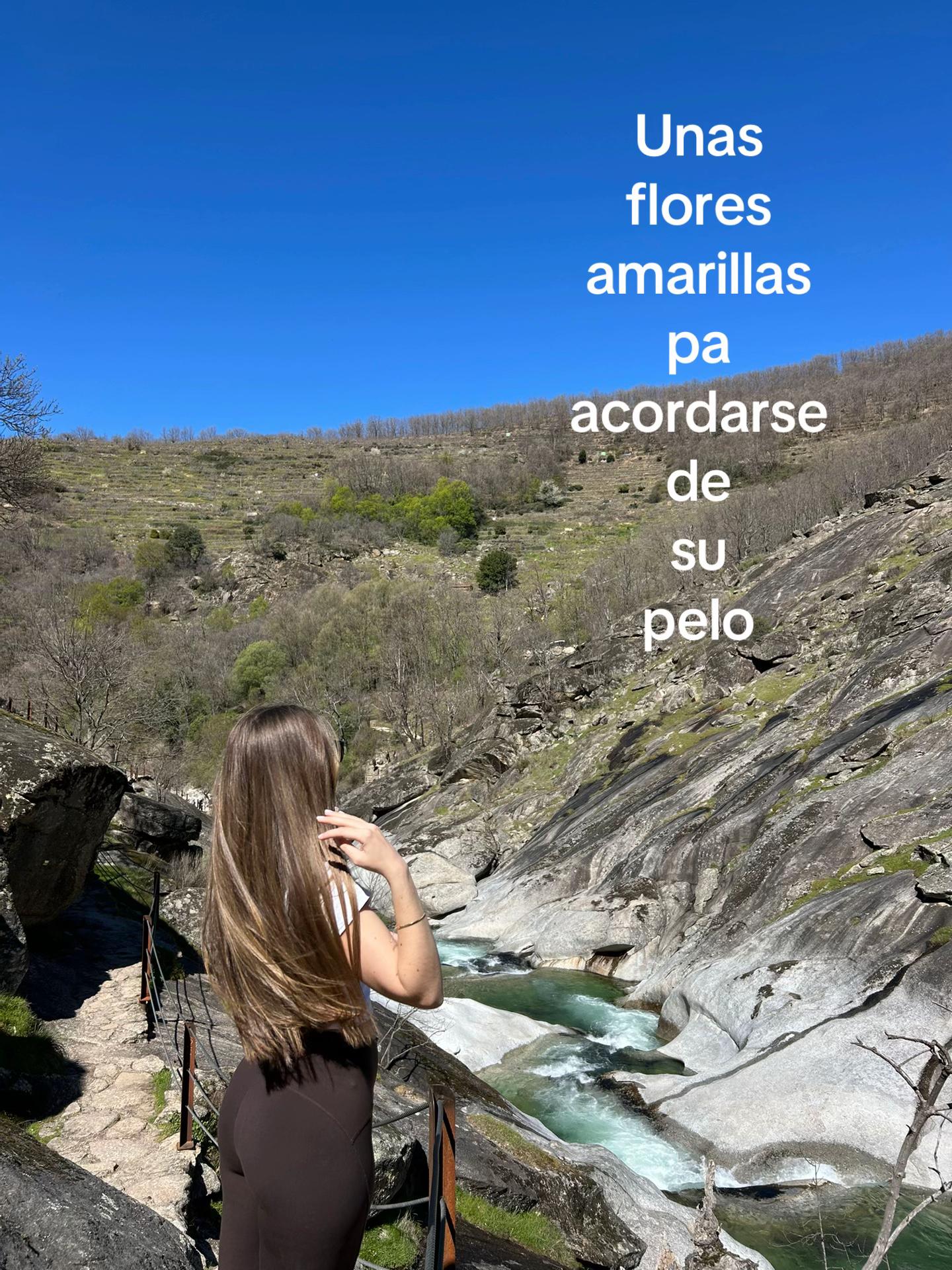 @Rosa Lavado