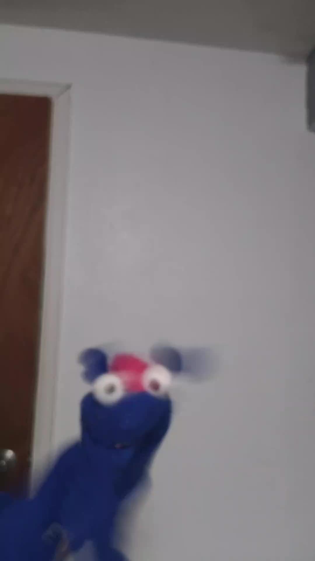 @the3puppet33rs