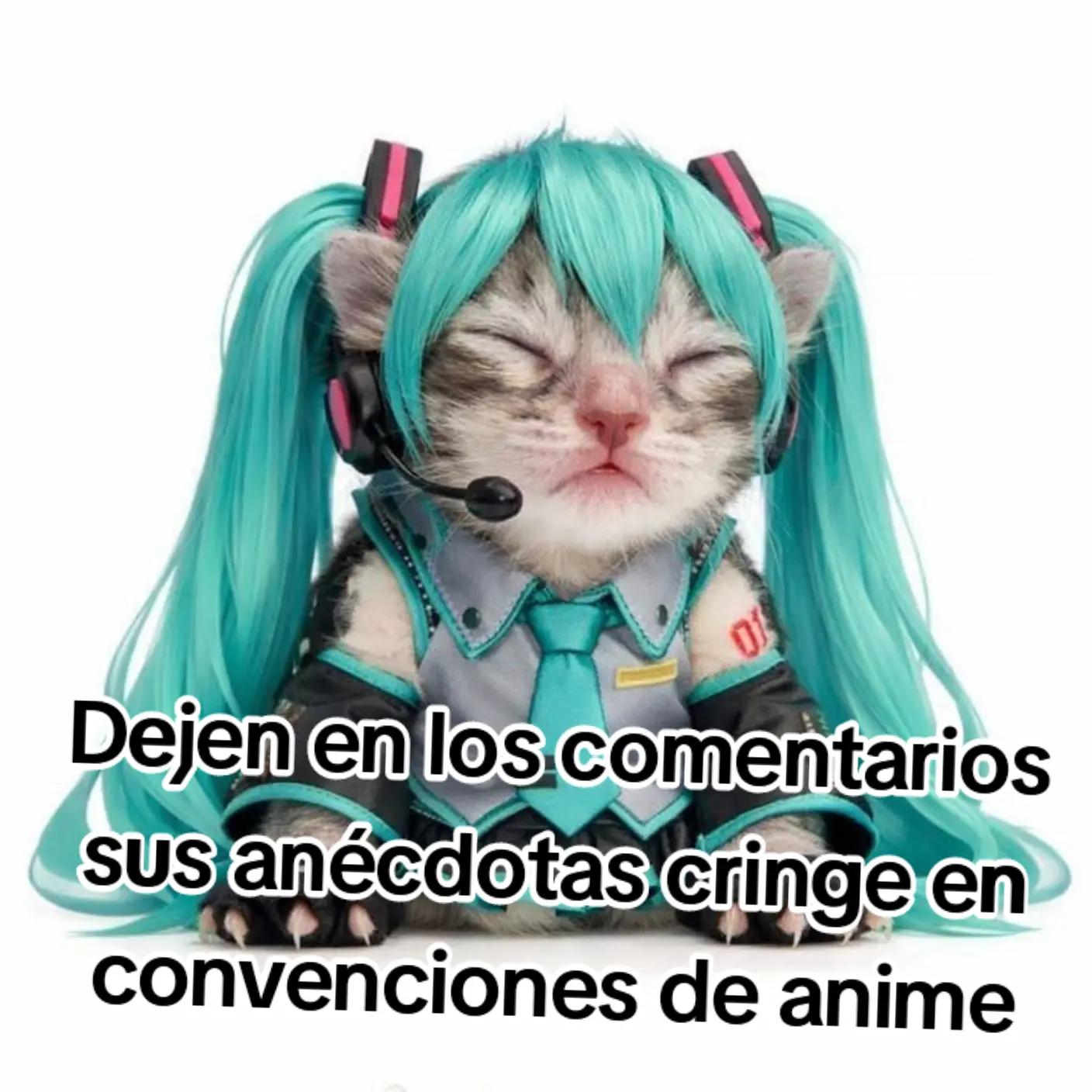 @Mariliz98UwU