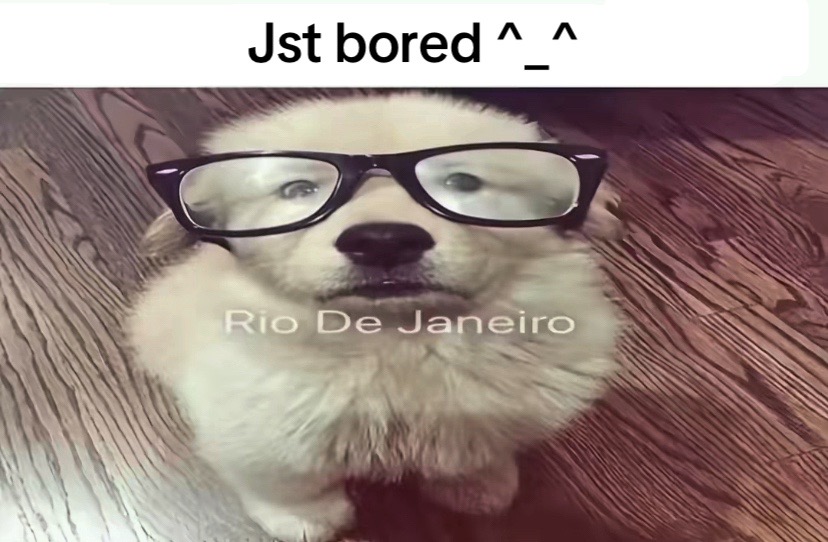 @愛 🐾|ℳℴℴ𝓉 𝓂ℯ