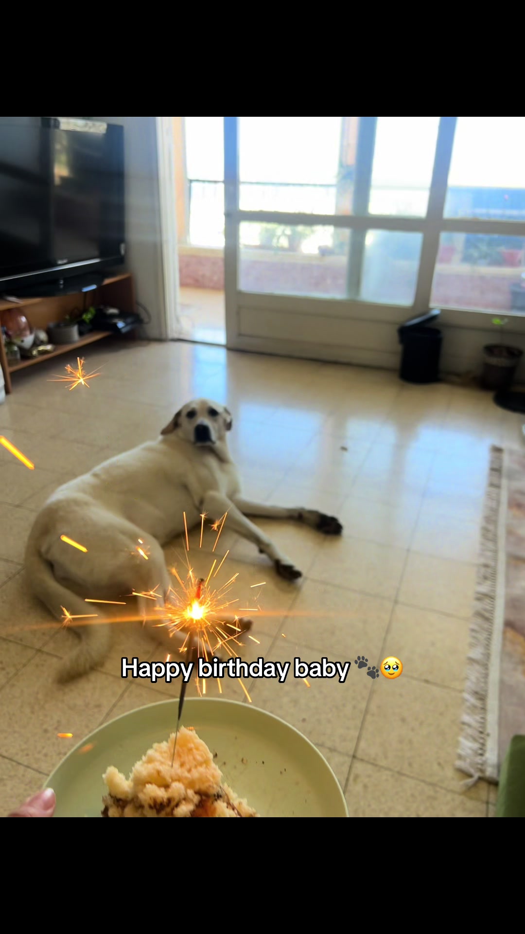 @Nala & Bella 💜
