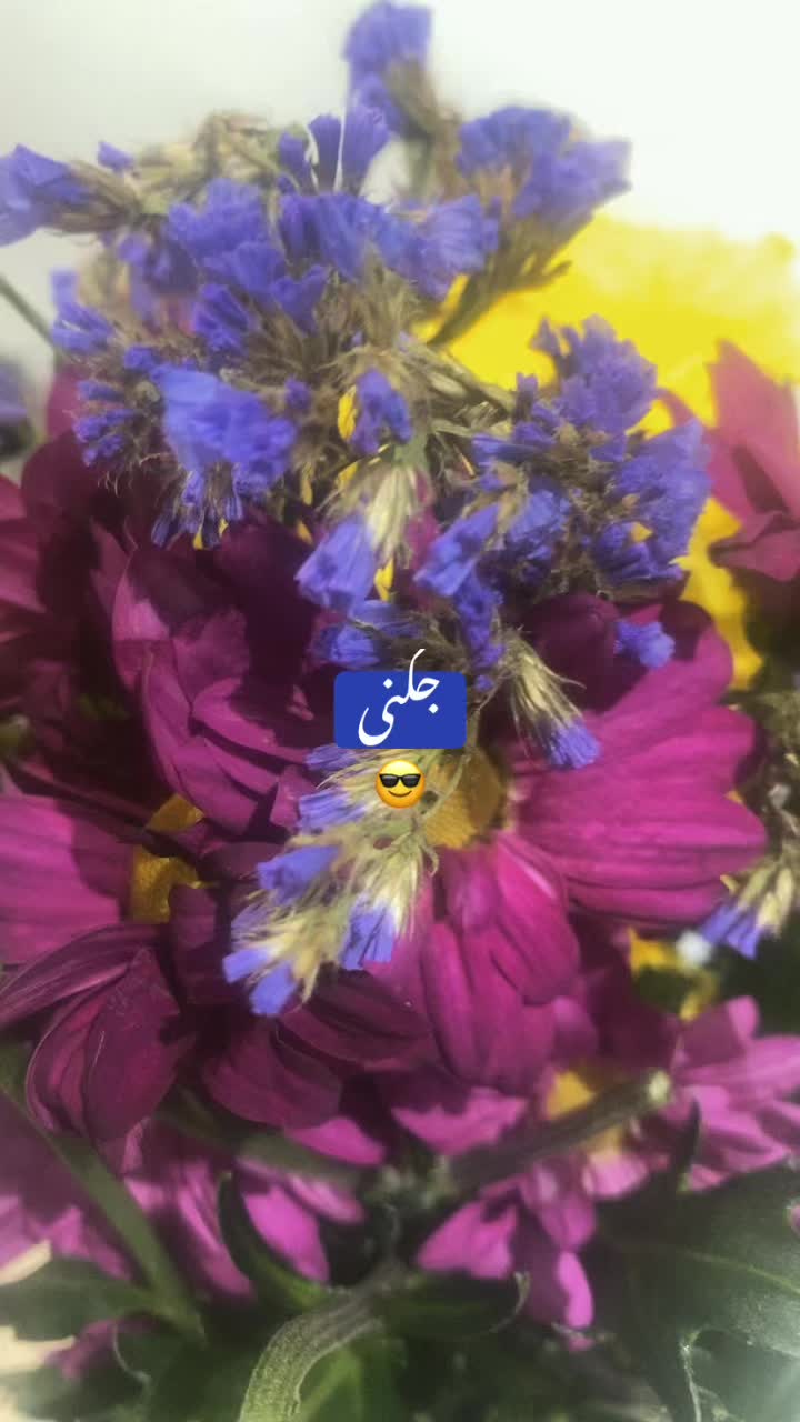 @꧁𝐦𝐫𝐬💕𝐣𝐚𝐯𝐞𝐝💕ꨄ꧁꧂