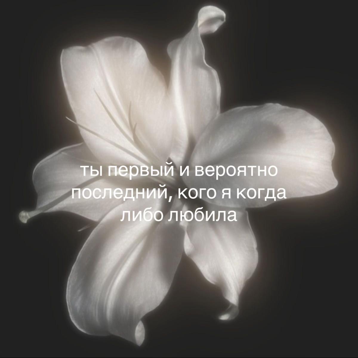 @тгк: nikafootkortbabe