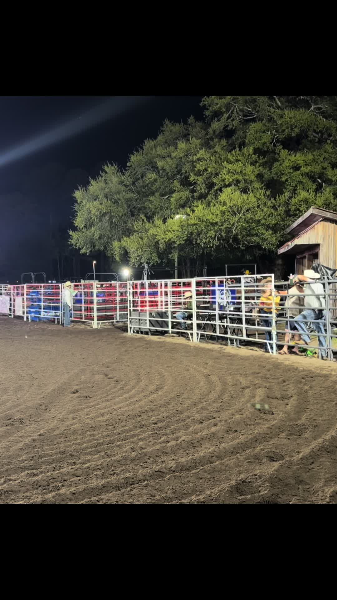 @Brit. L | Barrel Racer