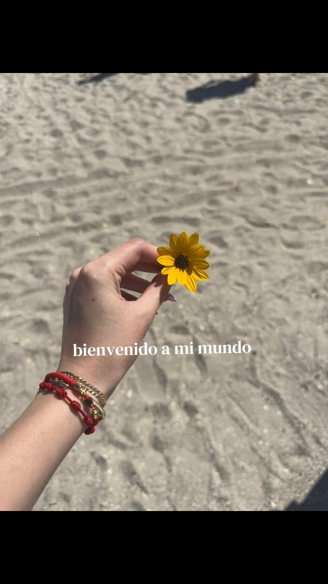 @meli ❀