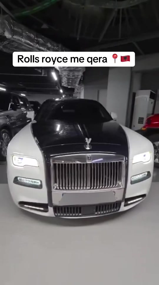 @rental.tirana.vip