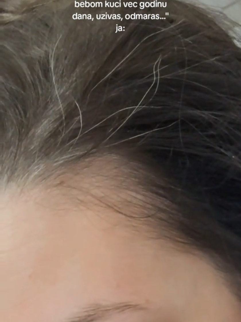 @danicic
