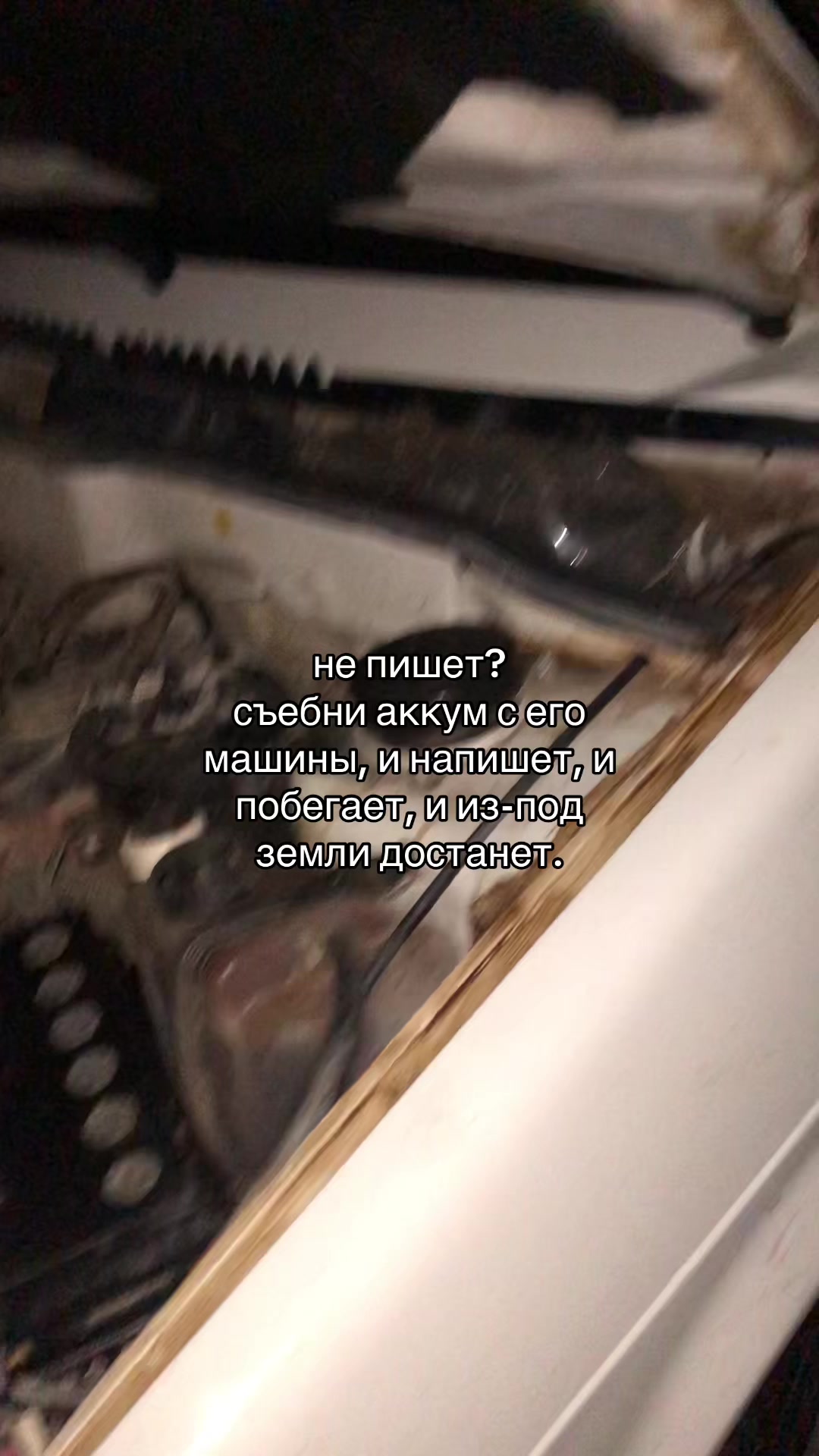 @T🤎