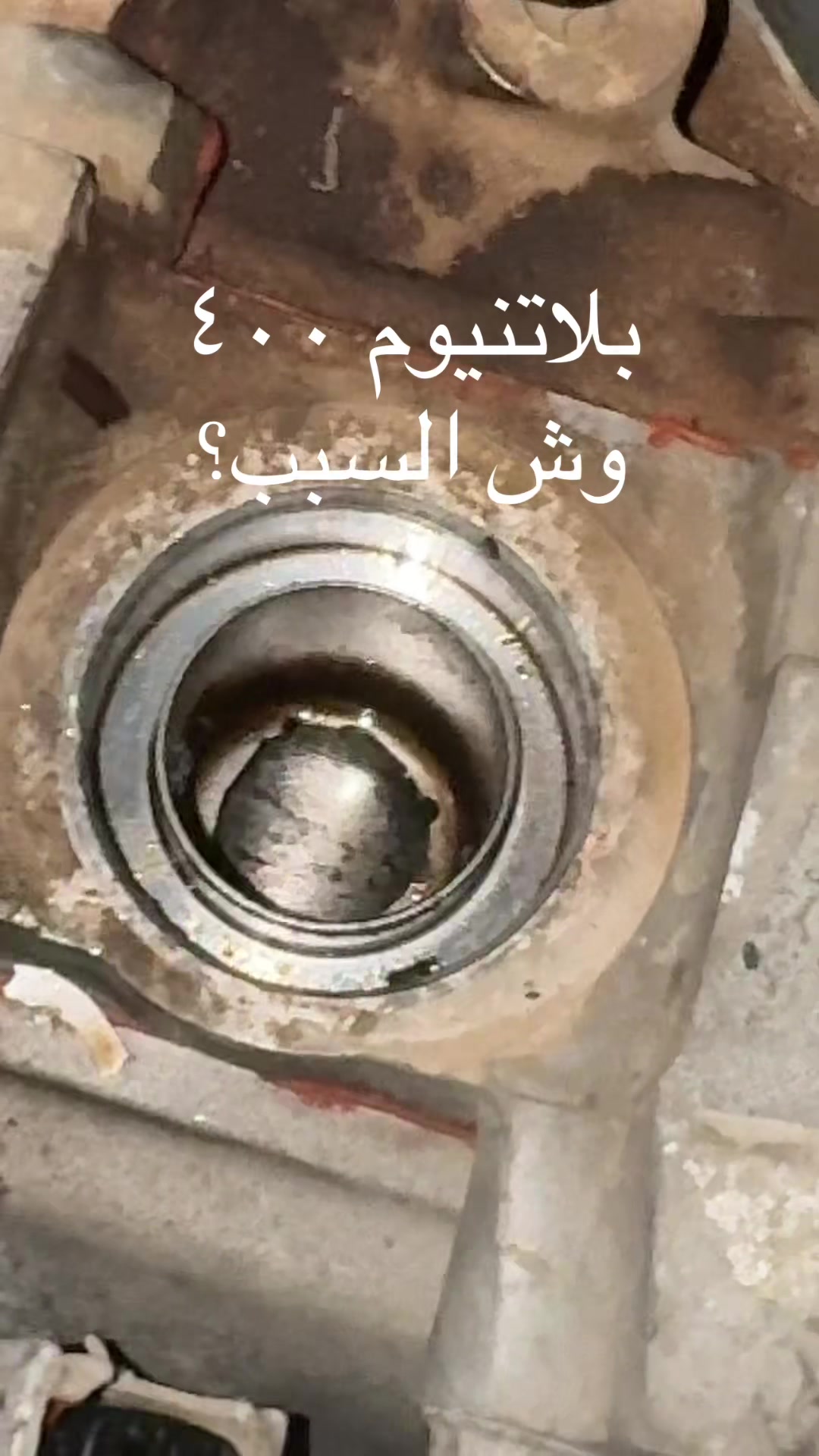 @مختار الكلمه