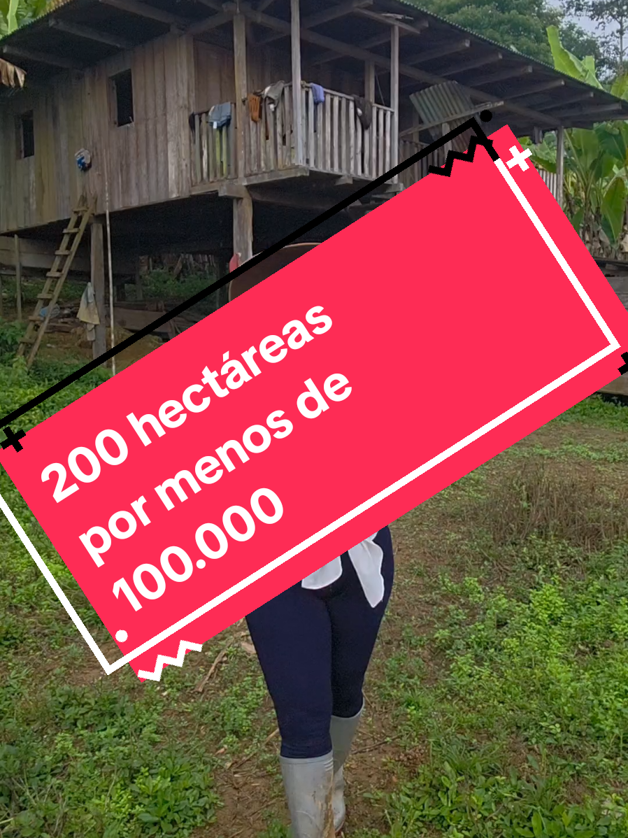 @luz