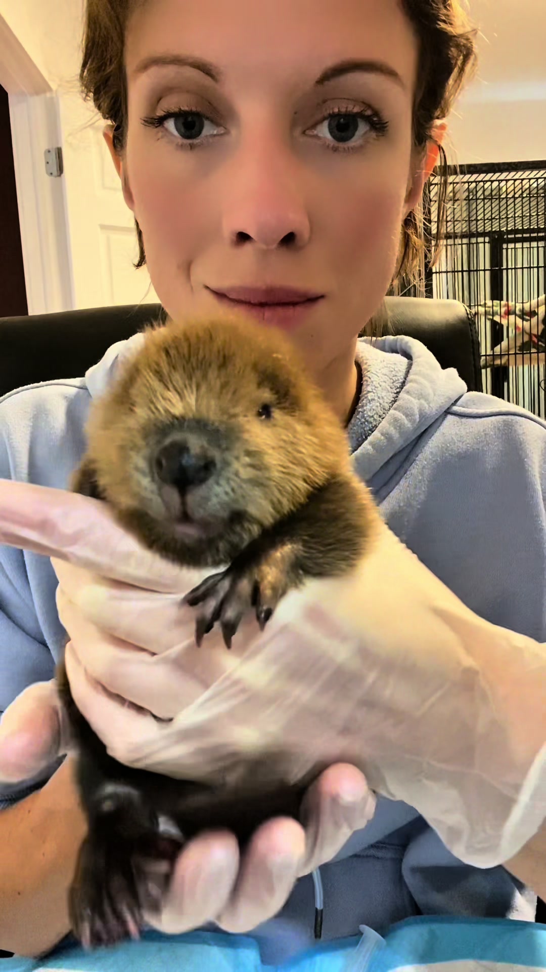 @Wild For Life Inc.