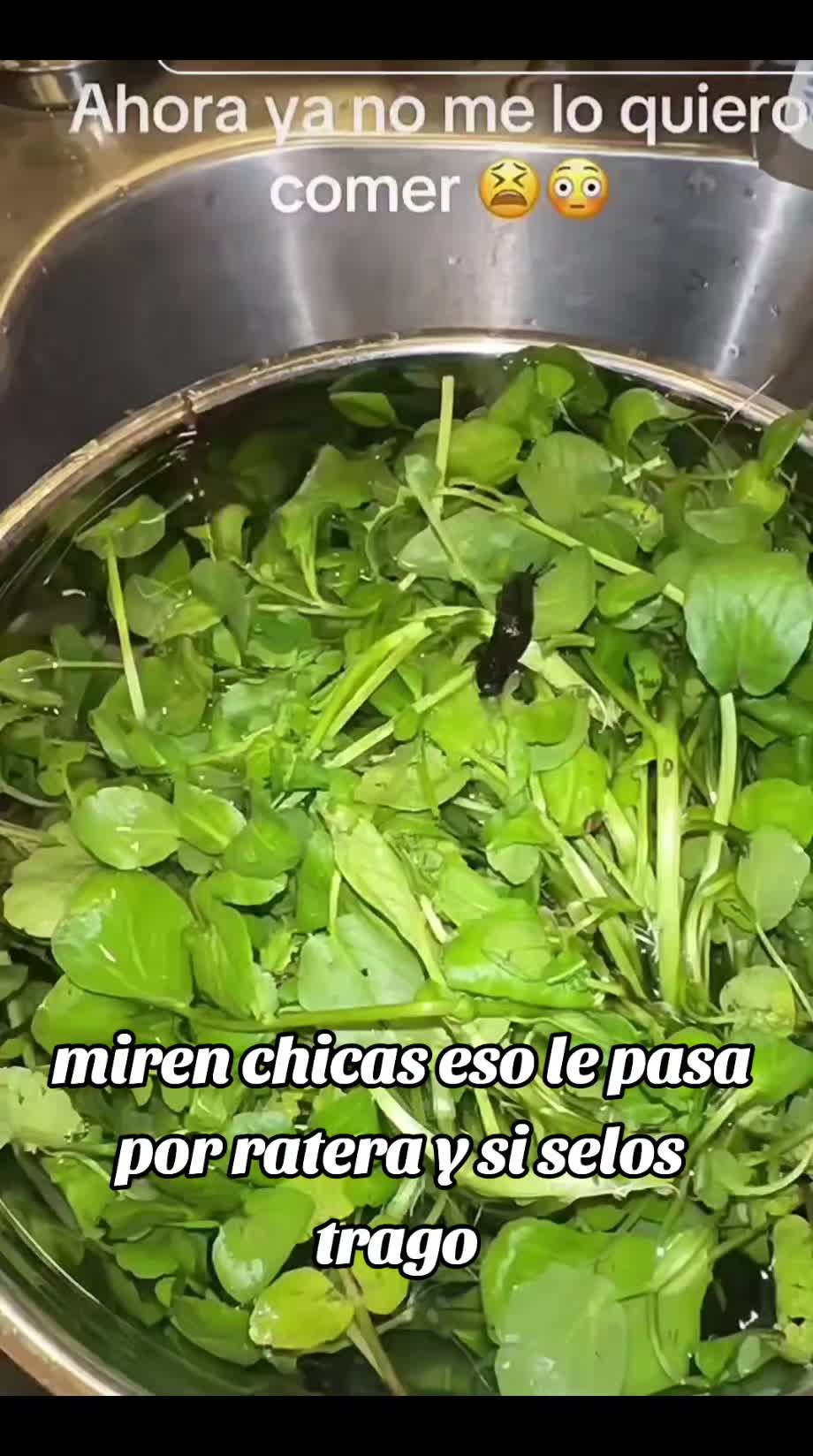 @guajes🫛🫛frijoles🫘🌶