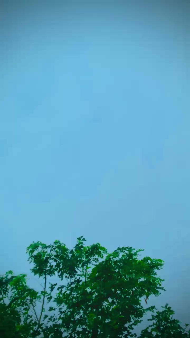 @ṂȖἬᾋṂṂᾋƉ ἿȒҒᾋƝ ЈȖҬҬ