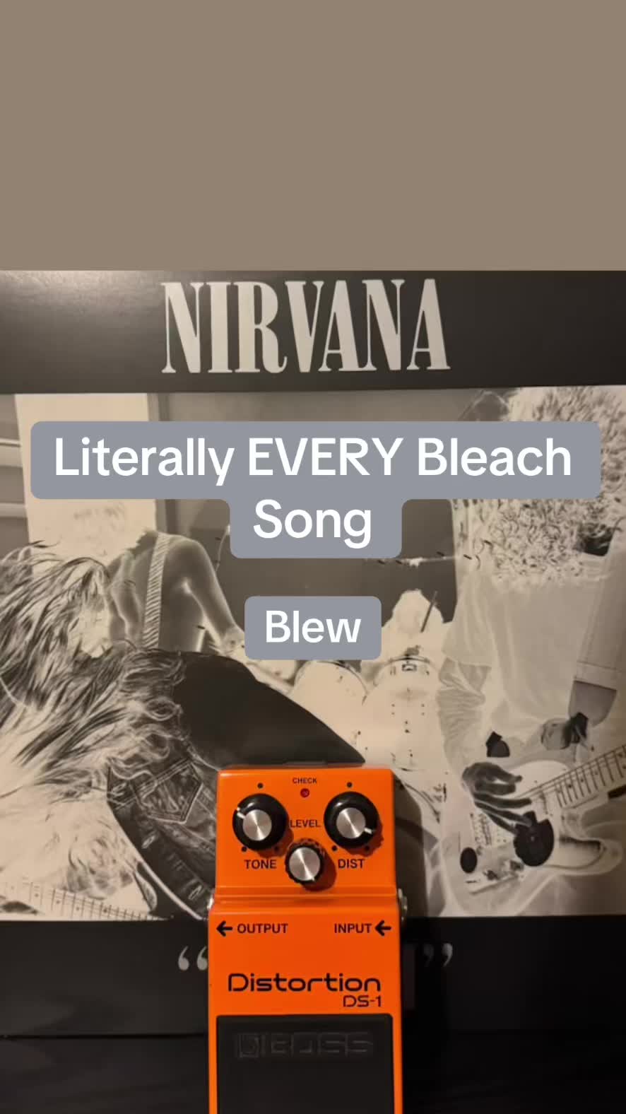 @twin_reverb_