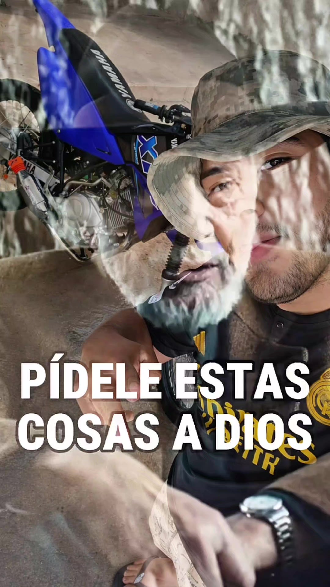 @felix el gato2