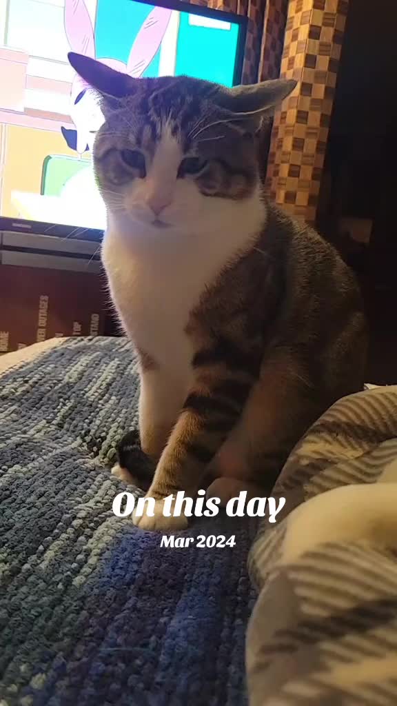 @Stizzles
