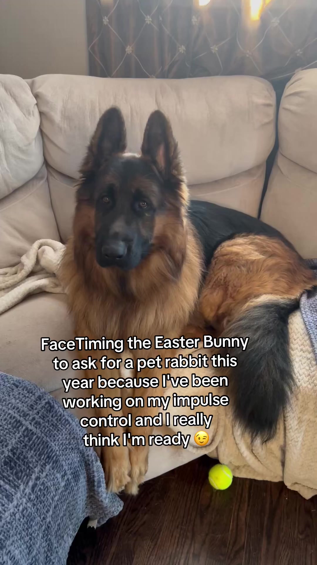 @ksdoggos