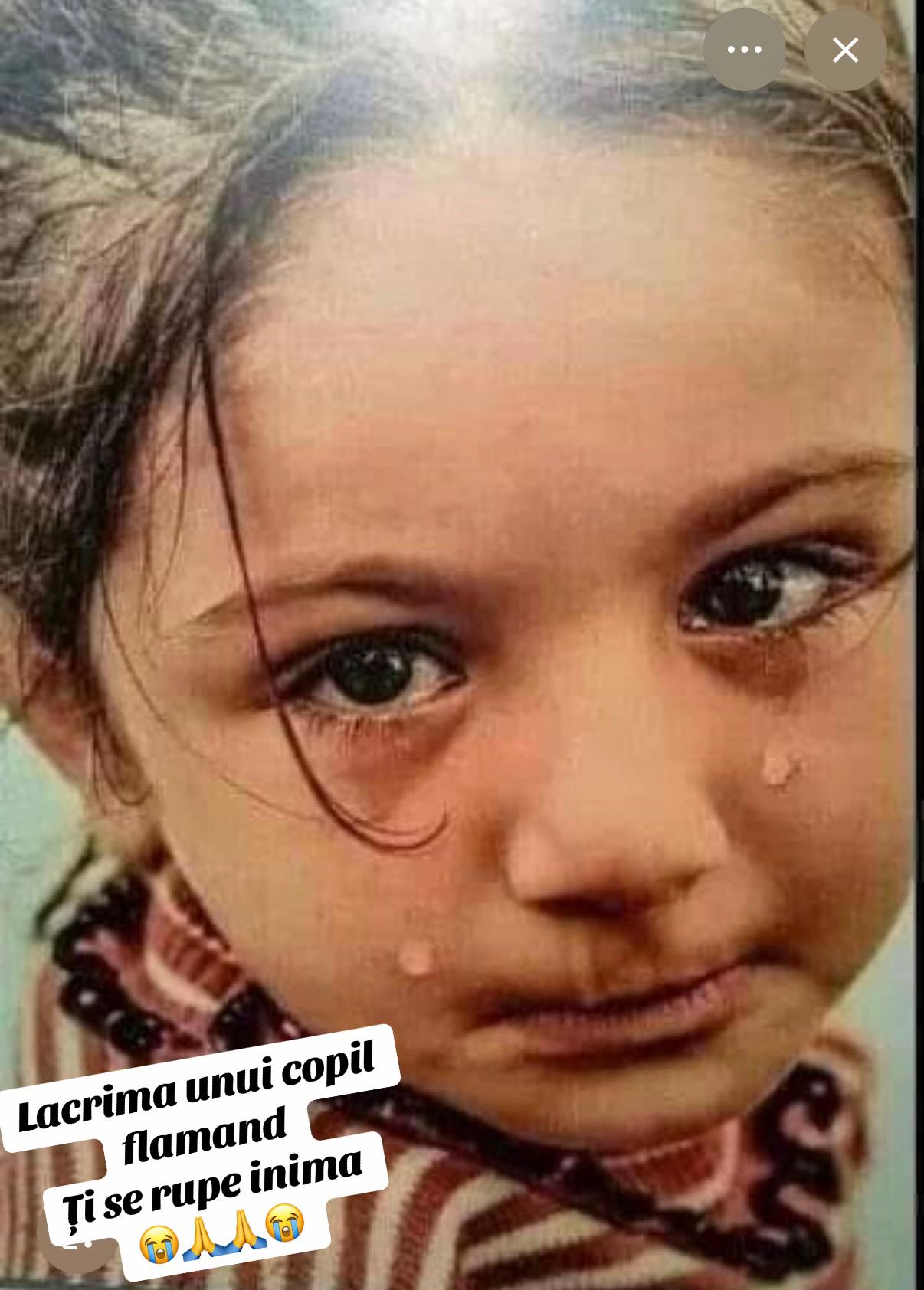 @🌺🌺Florica Kumar🌺🌺