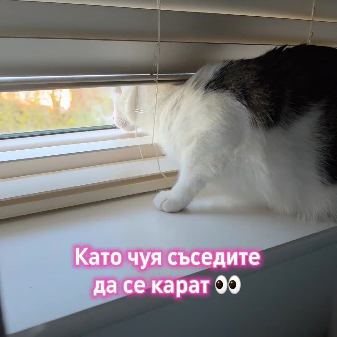 @Zori
